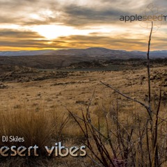 Eric Skiles - Desert Vibes 10