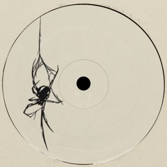 arachnogroove