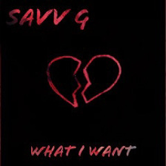 Savv G - What I Want (prod. Jaytheswiper)
