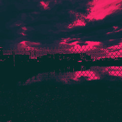 BLOOD MEMORY