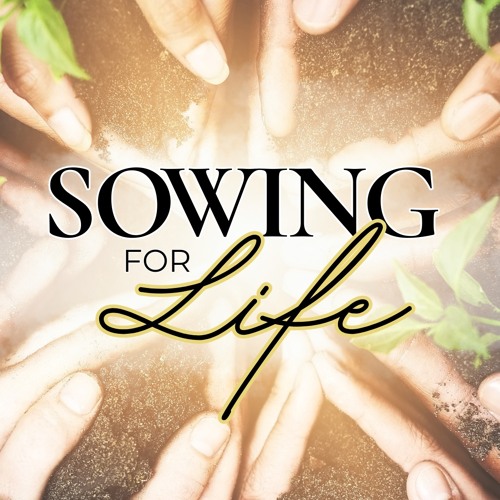 4th February 2024 - Ps Paul Whitehead - Sowing For Life - Pt.1