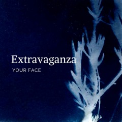 Your Face - Extravaganza