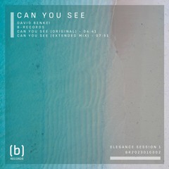 Can you see (Extended Mix)