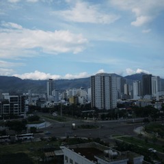 track lỏ