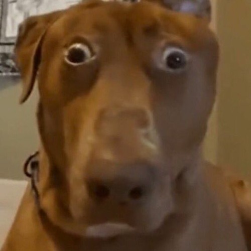 awesome sauce playlist