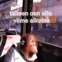 Mietin tän kaiken valmiiks