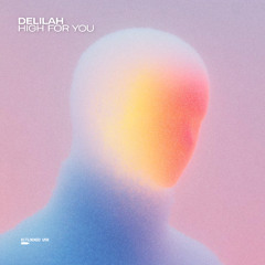 bullet tooth & Delilah - High For You [Unreleased]