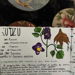 Kudzu universo (demo)