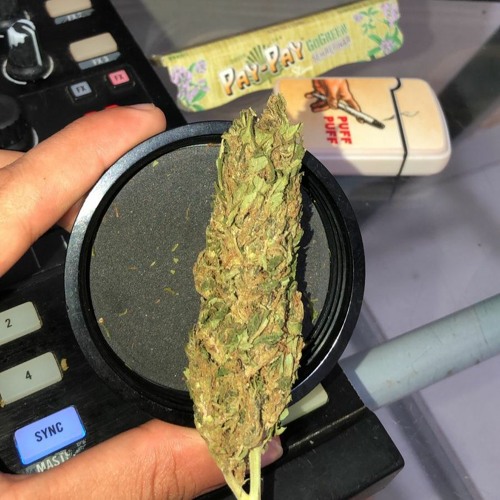 Set Neuros Progressive PsyTrance