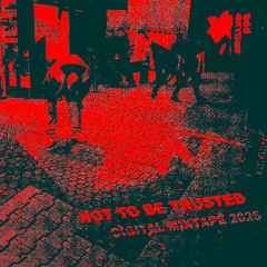 Not To Be Trusted (Digital Mixtape 2025)