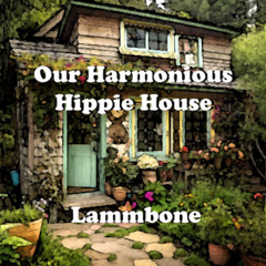 Our Harmonious Hippie House
