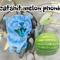 catshit melon phonk