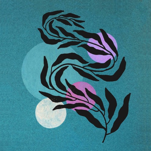 Nomadic - Tora