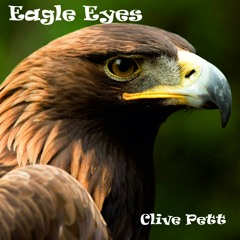 Eagle Eyes
