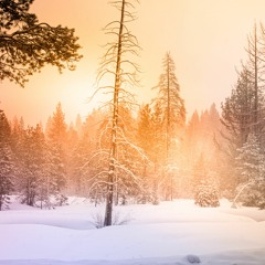 010222