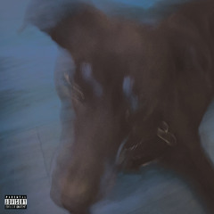 bone (Prod. tiresss)