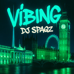 DJ Spaqz - Vibing