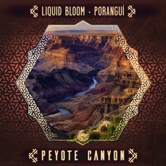 Peyote Canyon (Uone's Phantom Whistler Remix)