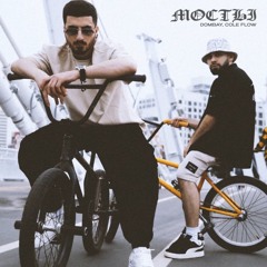 Мосты Dombay & COLE FLOW