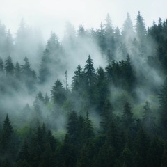 No Occurrence (Full EP Mix)