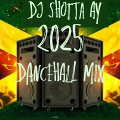 2025 Dancehall reggae mix Dj Shotta Ay