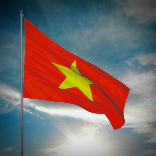 HELLO VIET NAM X WISDOM - FWIN EDIT