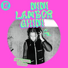 electrobüro mix #12 w/Ninilamborghini