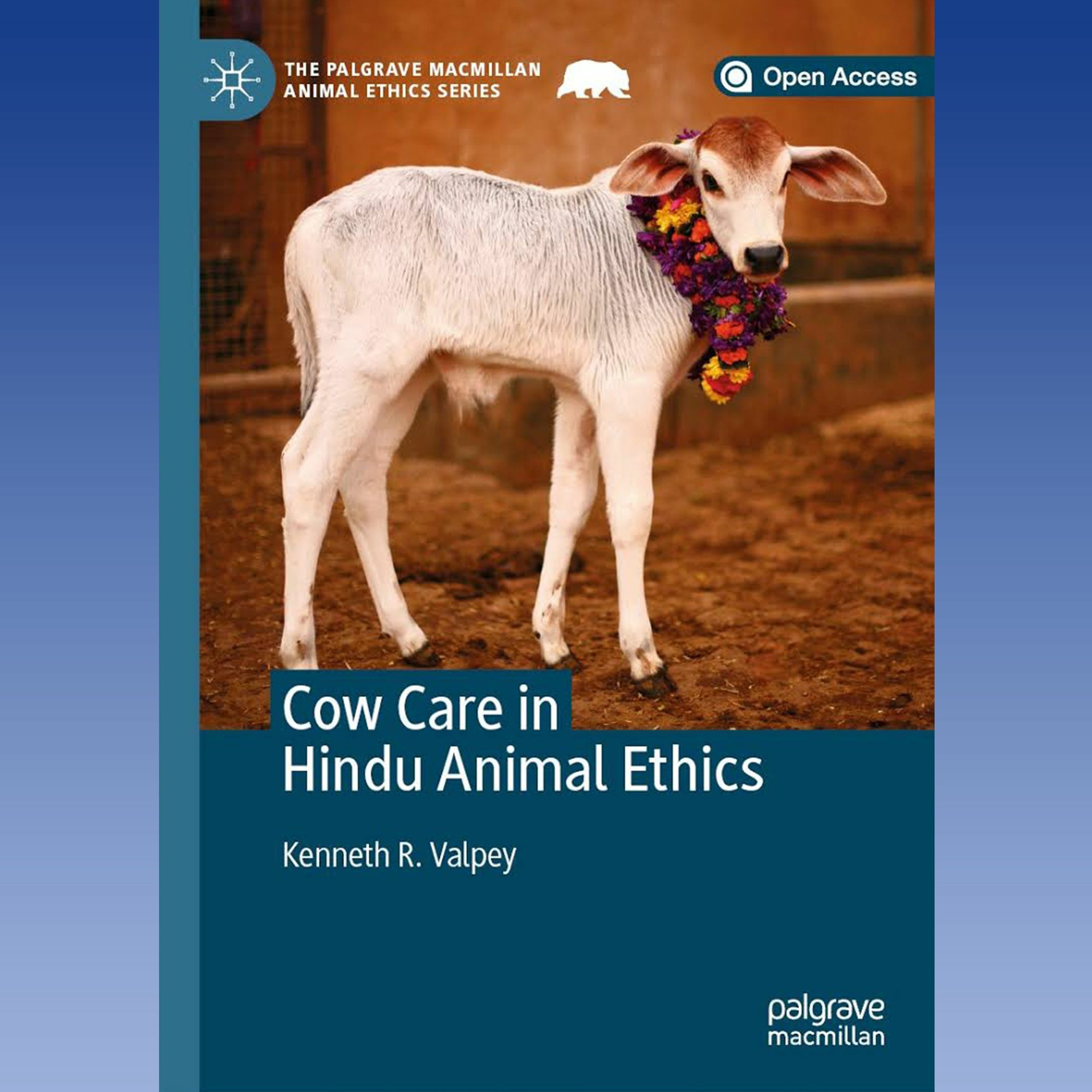 Caring for cows - Interview episode artwork