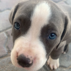 يا مليحه 🍻🤣