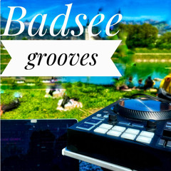 Badsee grooves at Kuchl badsee