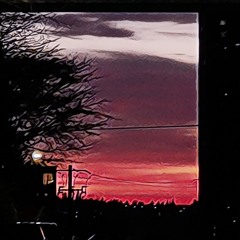 Intersect (cafénico b2b Loss Ratio)