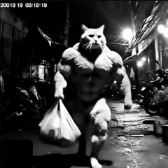 Cats In The Traphouse