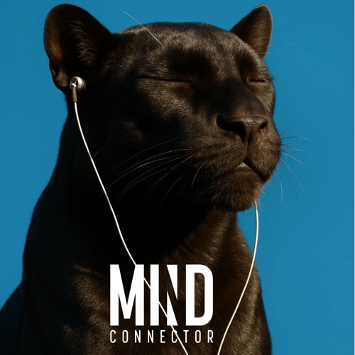Anomali - Blackout (Carlos Pires, Hopper Remix) Remastered WAV [FREE DOWNLOAD]