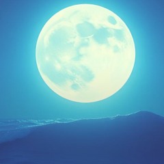 Echo in the Night