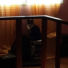 fede en otra casa