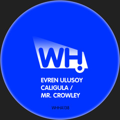 Mr. Crowley (Frink Remix)