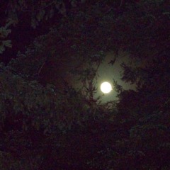 Nightfall ft. Jessica