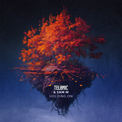 Telomic & Sam M - Holding On