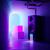 Artwork for Basement Bloom