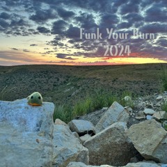Funk Your Burn 2k24