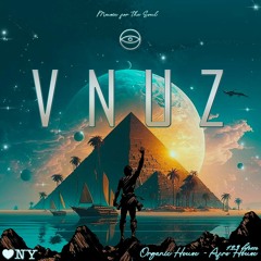 Organic House - Afro House - Vnuz Dj - Live Set 2025 Vol 0.1