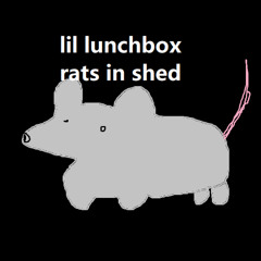 RATS IN SHED RATS IN SHED RATS IN SHED