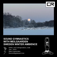 Sound Gymnastics w/ Meilgaarden - Sweden Winter Ambience Special