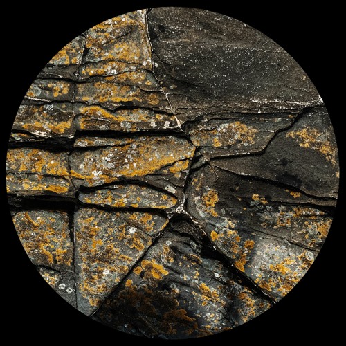 AMLTD012 - Hugo Rolan - Proceso Atemporal