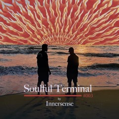 Soulful_Terminal_003_by_INNERSENSE