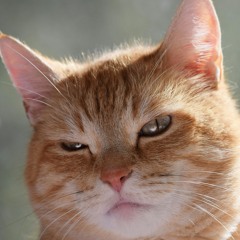 abrasive and hard to follow masterpieces