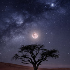 Desert Pulse [Deep Progressive Trance | 132 BPM]