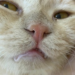 Qua Banh - Andree Right Hand (BoongBoiRemix)