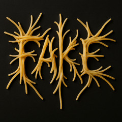 Fake (2024)