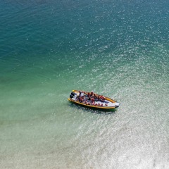 Agustín Sánchez-En un marco imponente, SAE te invita a embarcarte y conocer su fauna